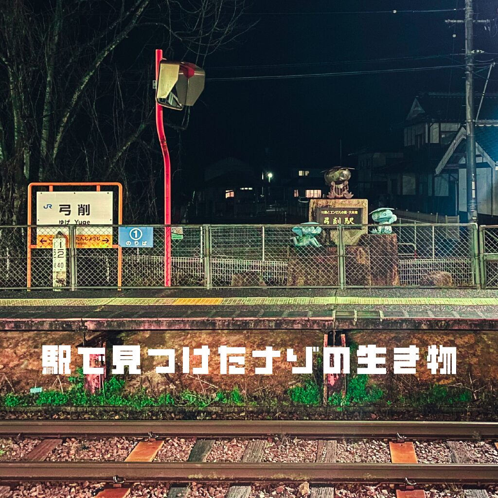 【B級スポット】弓削駅 – 駅で見つけたナゾの生き物【岡山県】
