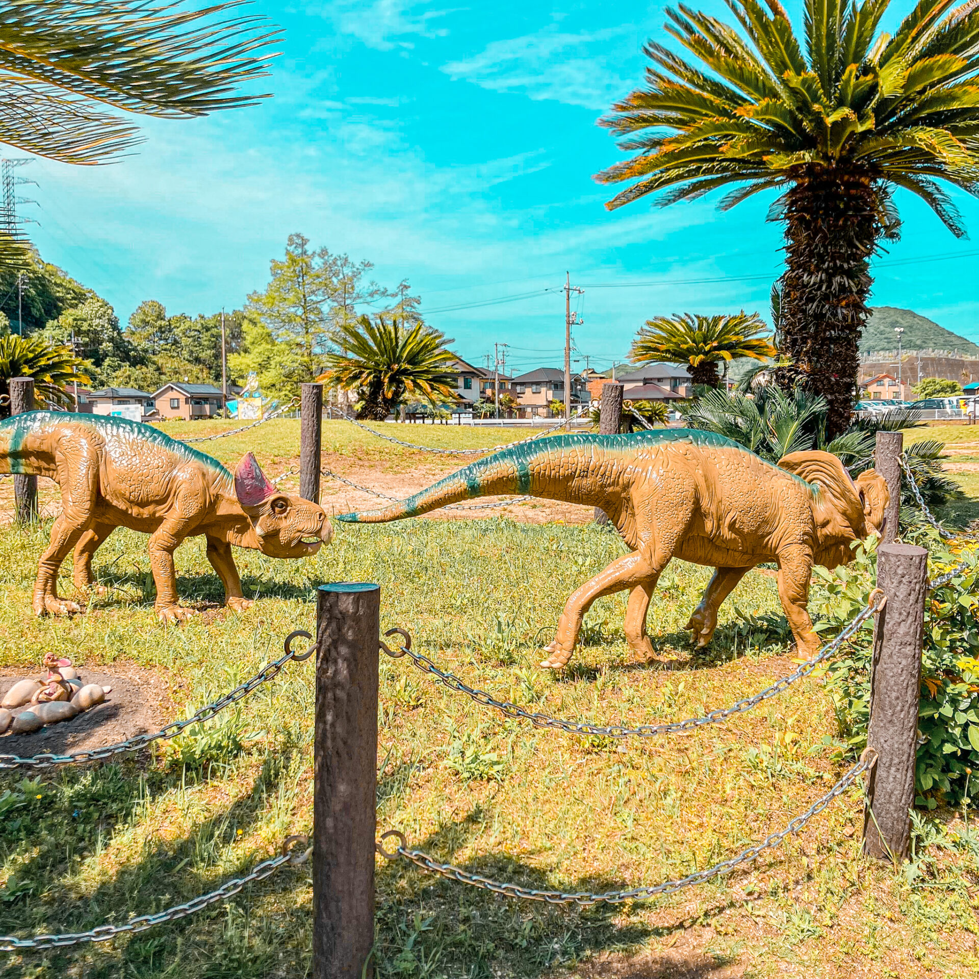 恐竜公園
恐竜６