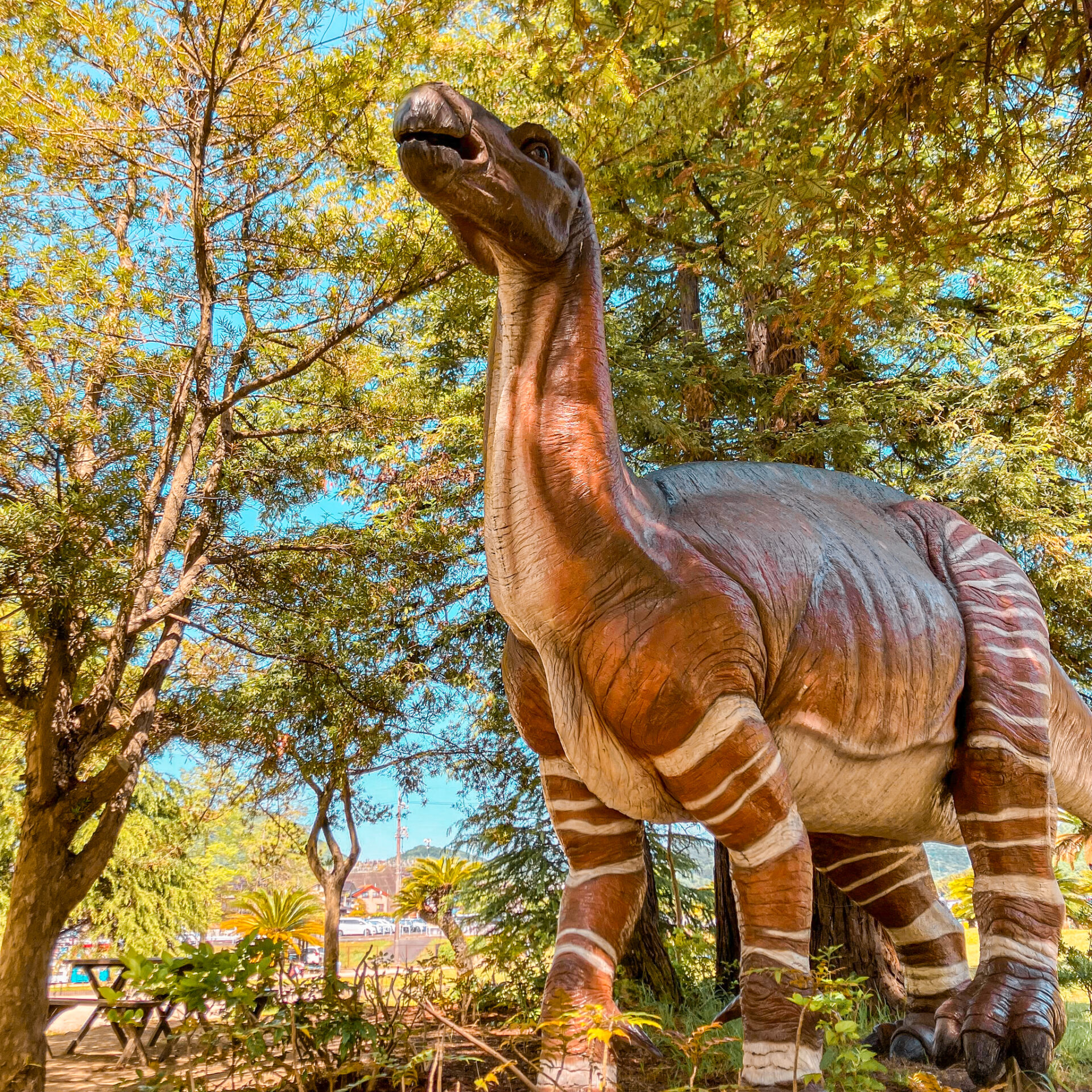 恐竜公園
恐竜４