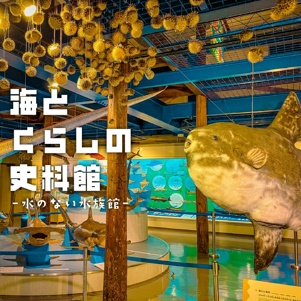 【ディープミュージアム】海とくらしの史料館 -水のない水族館！?-【鳥取県】