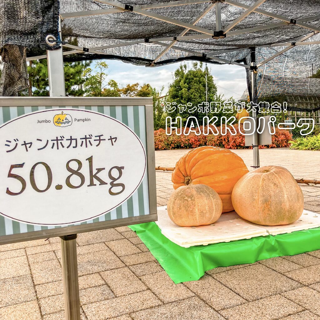 【珍スポット】HAKKOパーク ジャンボ野菜が大集合！?ここは野菜のミュージアムだ！【広島県】