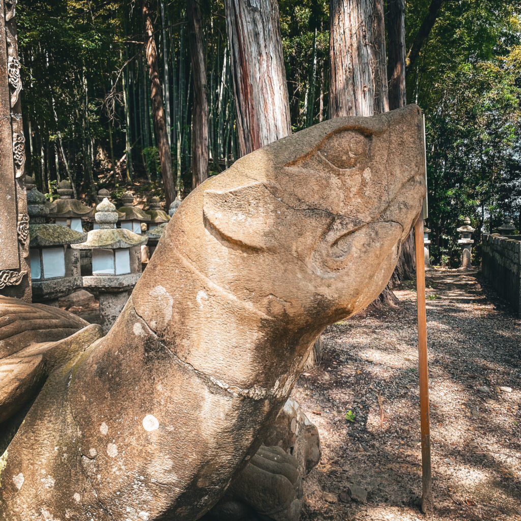 月照寺の大亀3