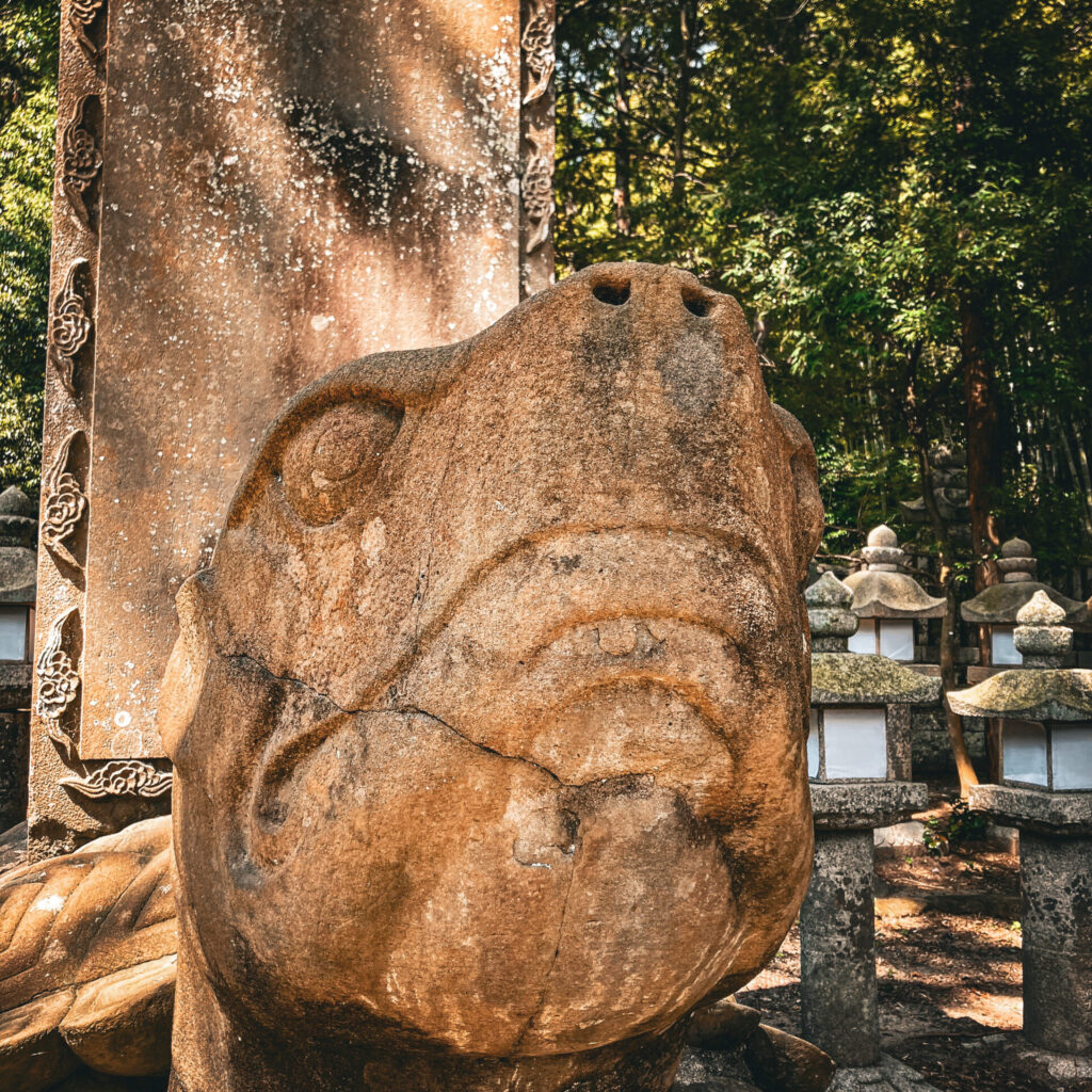 月照寺の大亀5