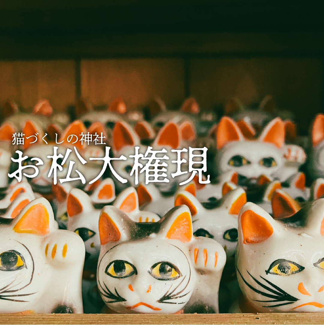 【珍スポット】お松大権現「猫だらけの神社」【徳島県】