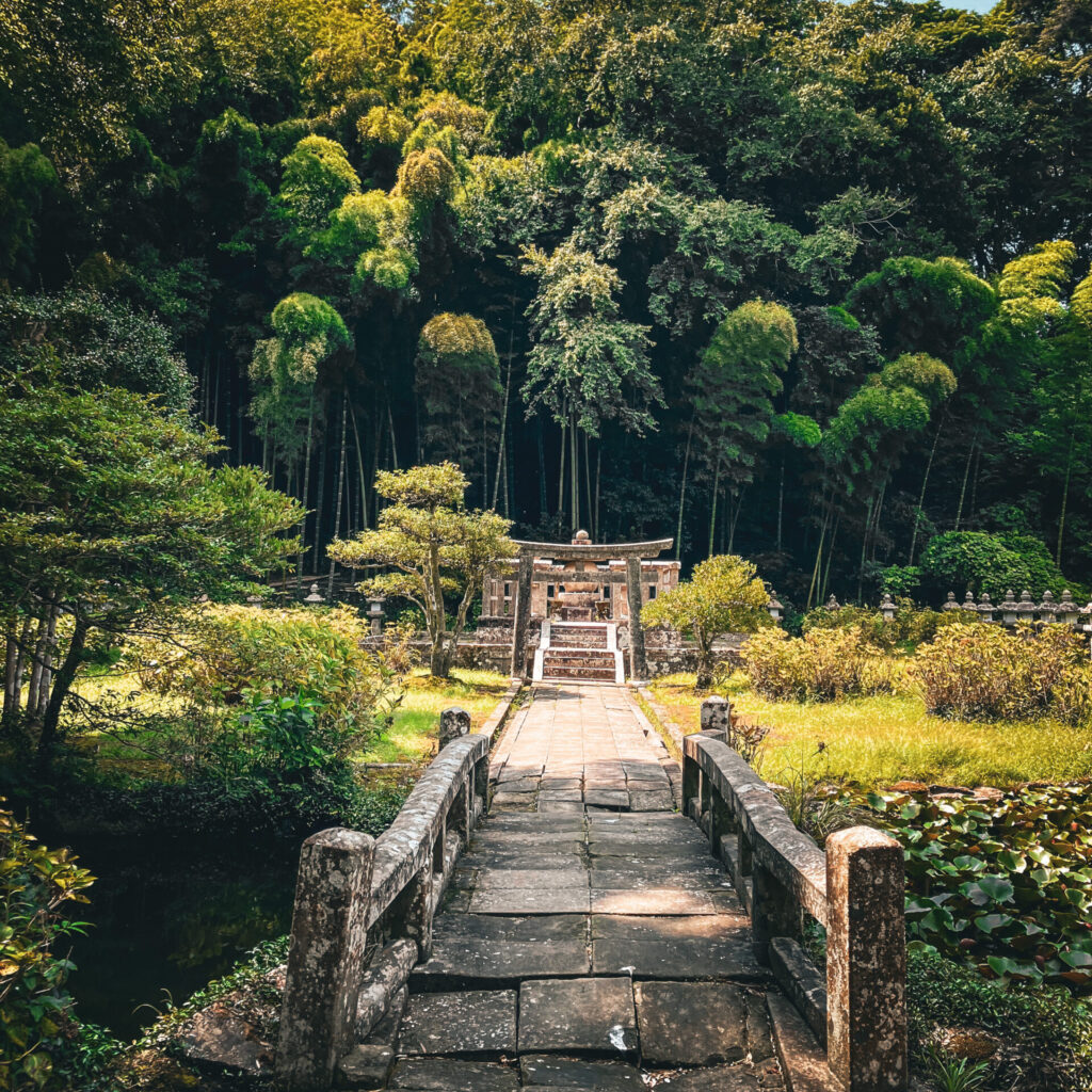 月照寺の大亀4