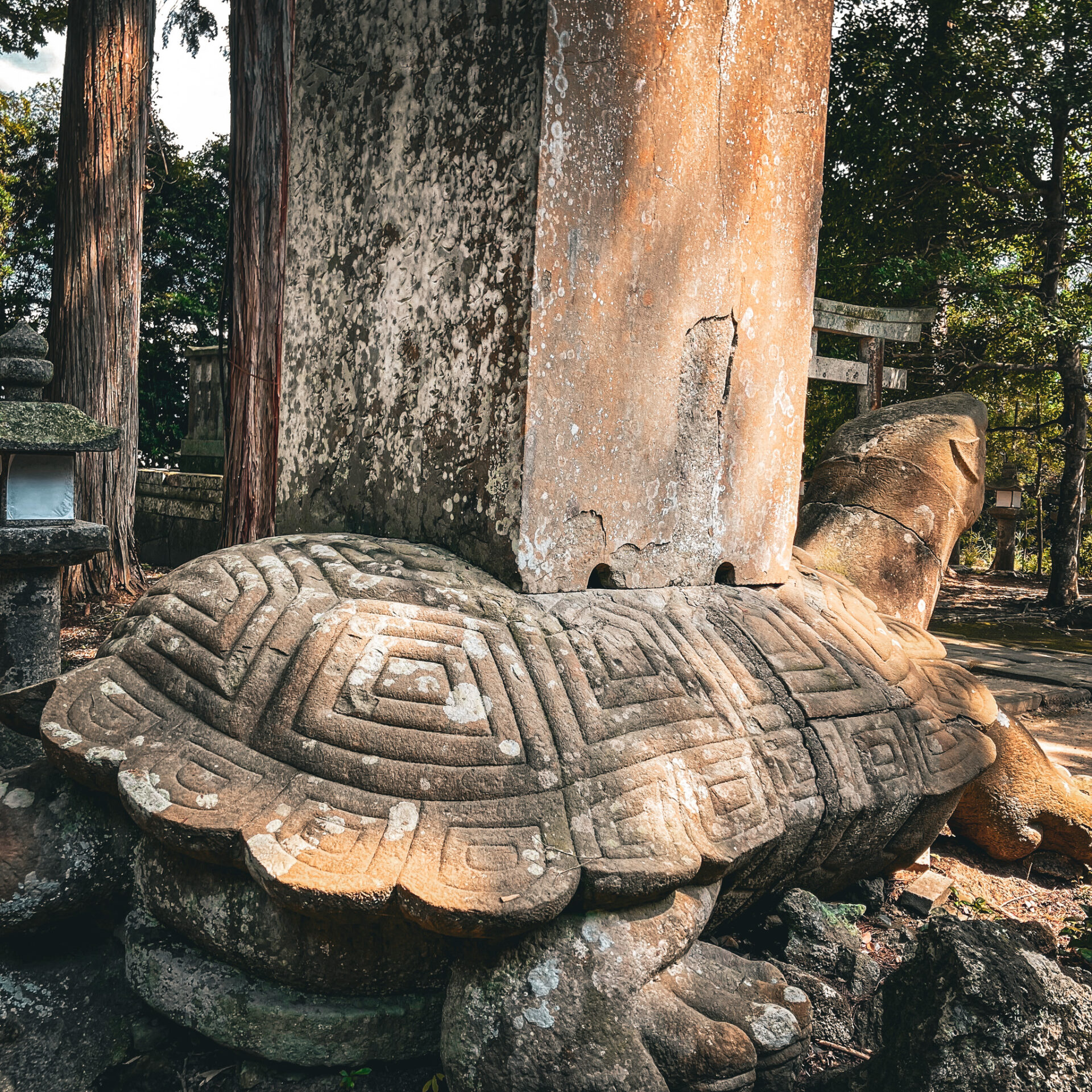 珍スポット】月照寺の大亀 夜になると動き出すという伝説が残っている