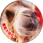 鳥取市の缶バッジ