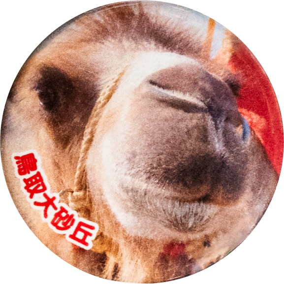 鳥取市鳥取大砂丘