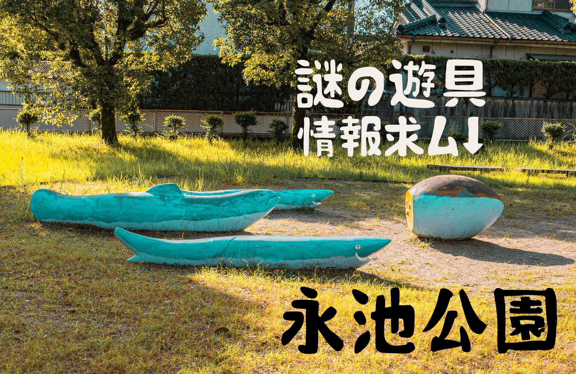 【公園遊具】永池公園　情報求ム。謎の遊具がある公園【鹿児島県】