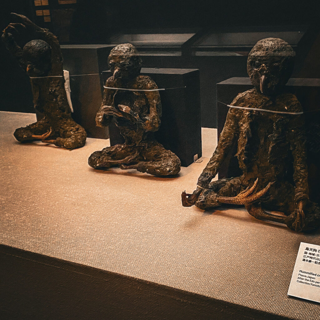 烏天狗のミイラ