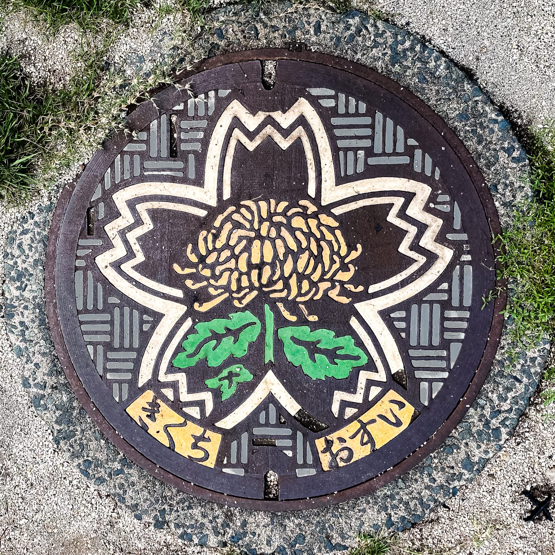 菊池市の菊のマンホール