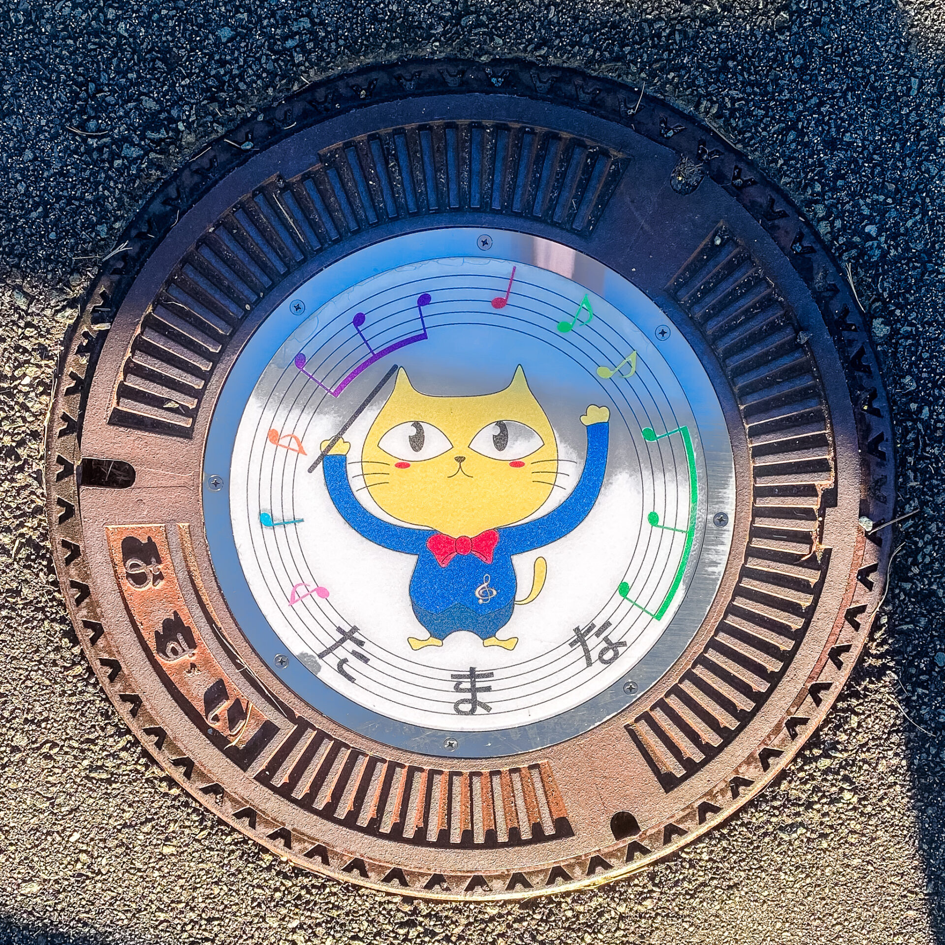 玉名市のタマにゃんのマンホール