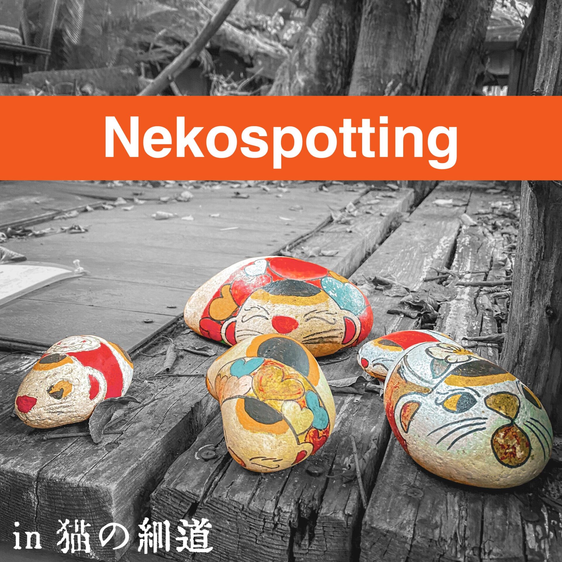 【猫スポット】Nekospotting【猫の細道】