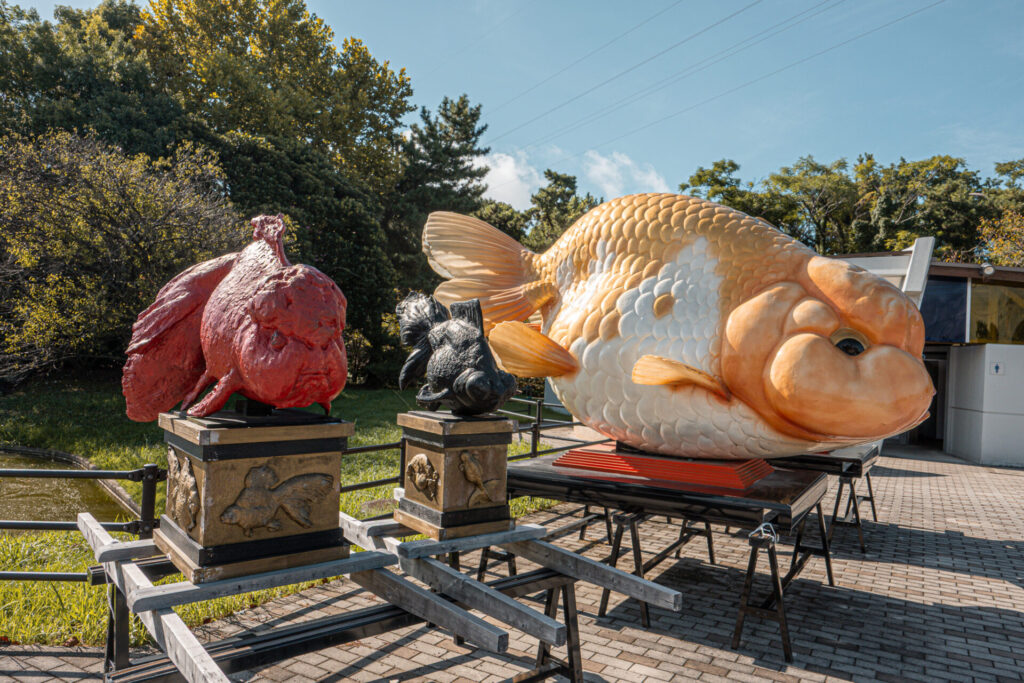 熊本県長洲町にある金魚の館
