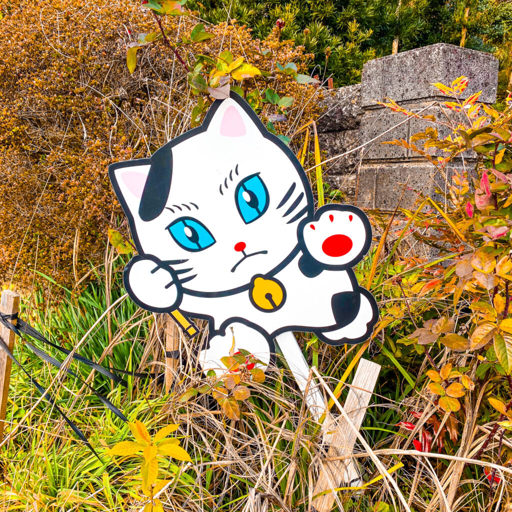 猫塚公園の追い出し猫の飛び出し猫