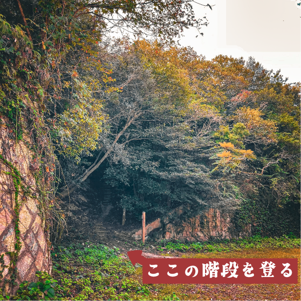 大久野島の中部砲台跡の場所
