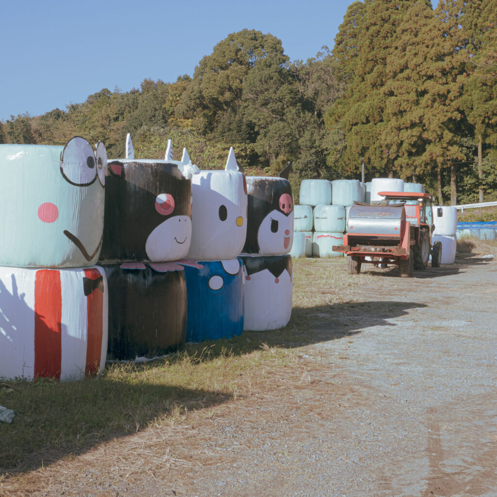 宮崎県小林市で見つけた牧草ロールアート