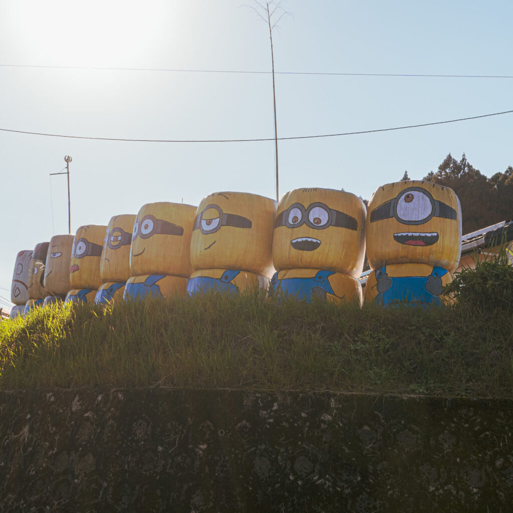 宮崎県小林市で見つけた牧草ロールのミニオンズ