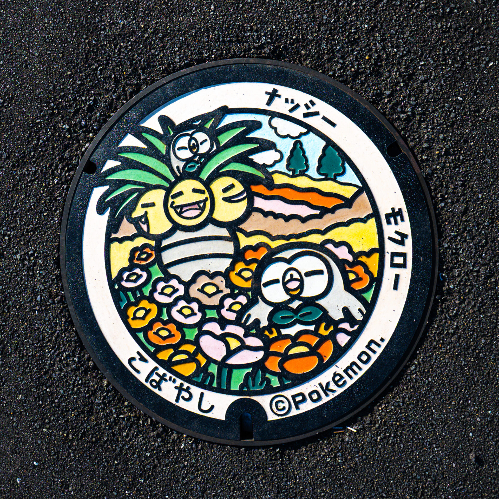 宮崎県小林市のポケふた