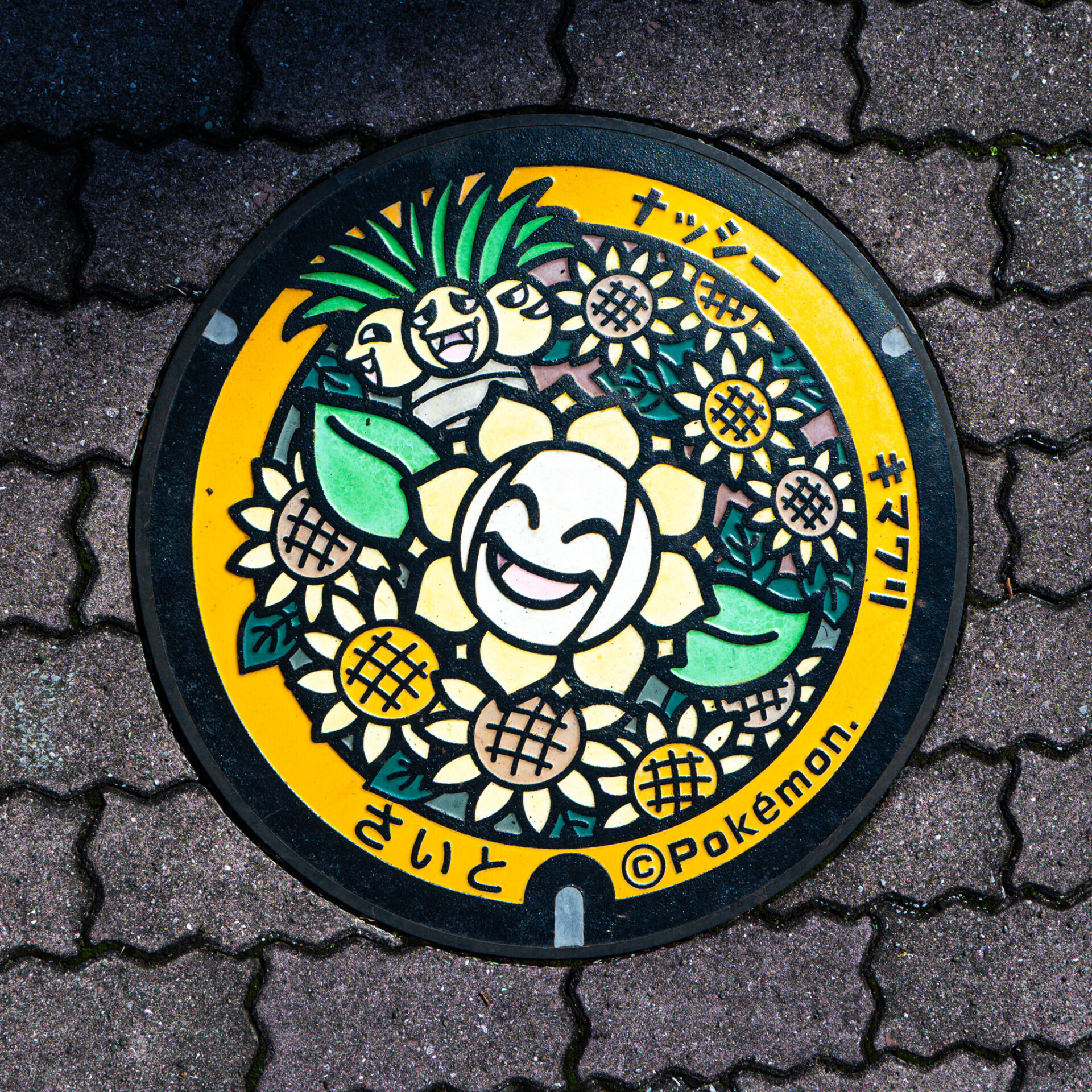 宮崎県西都市のポケふた