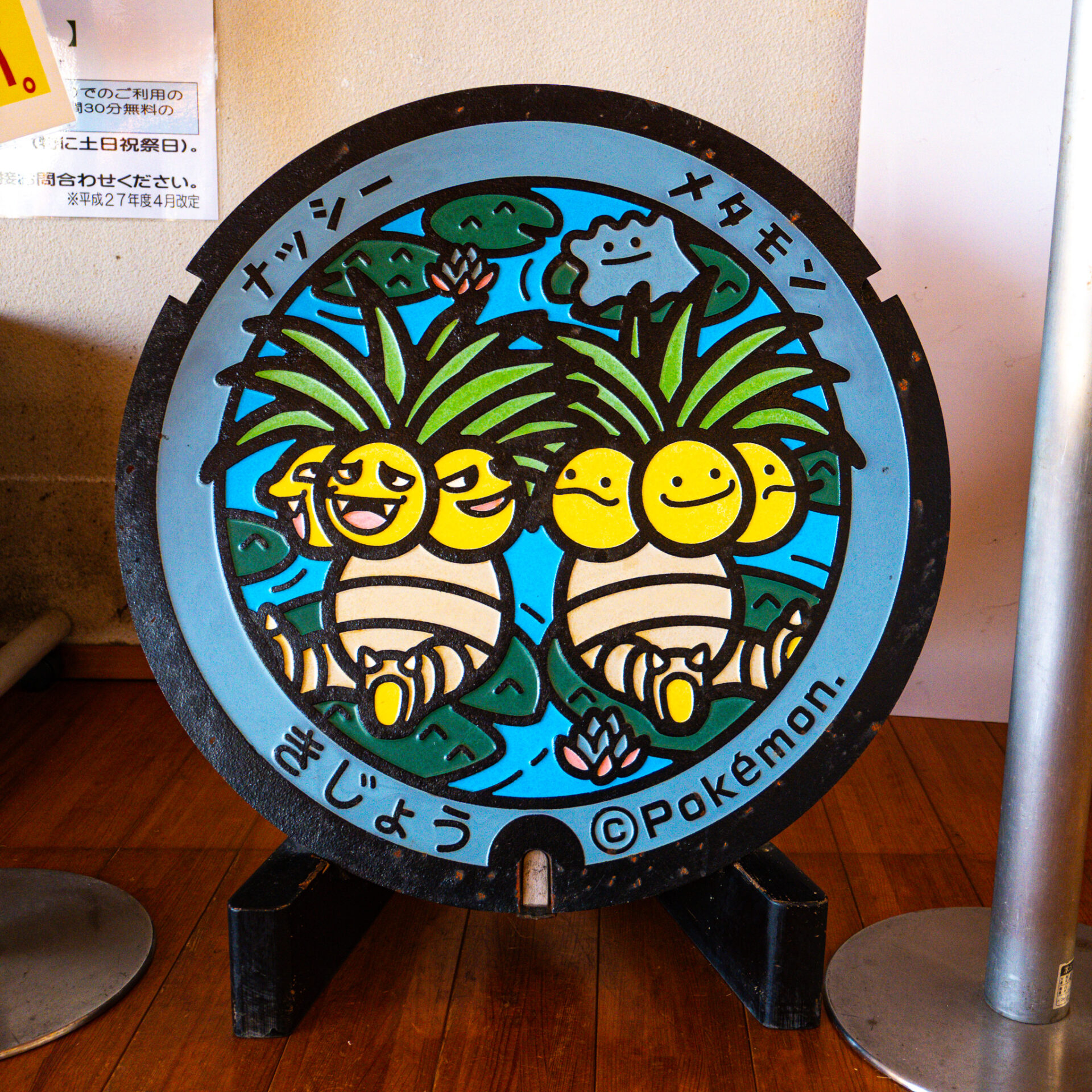 宮崎県木城町のポケふた