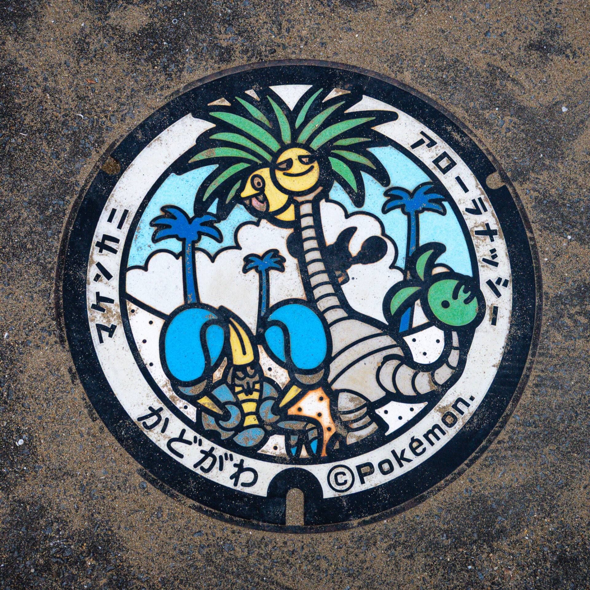 宮崎県延岡市のポケふた