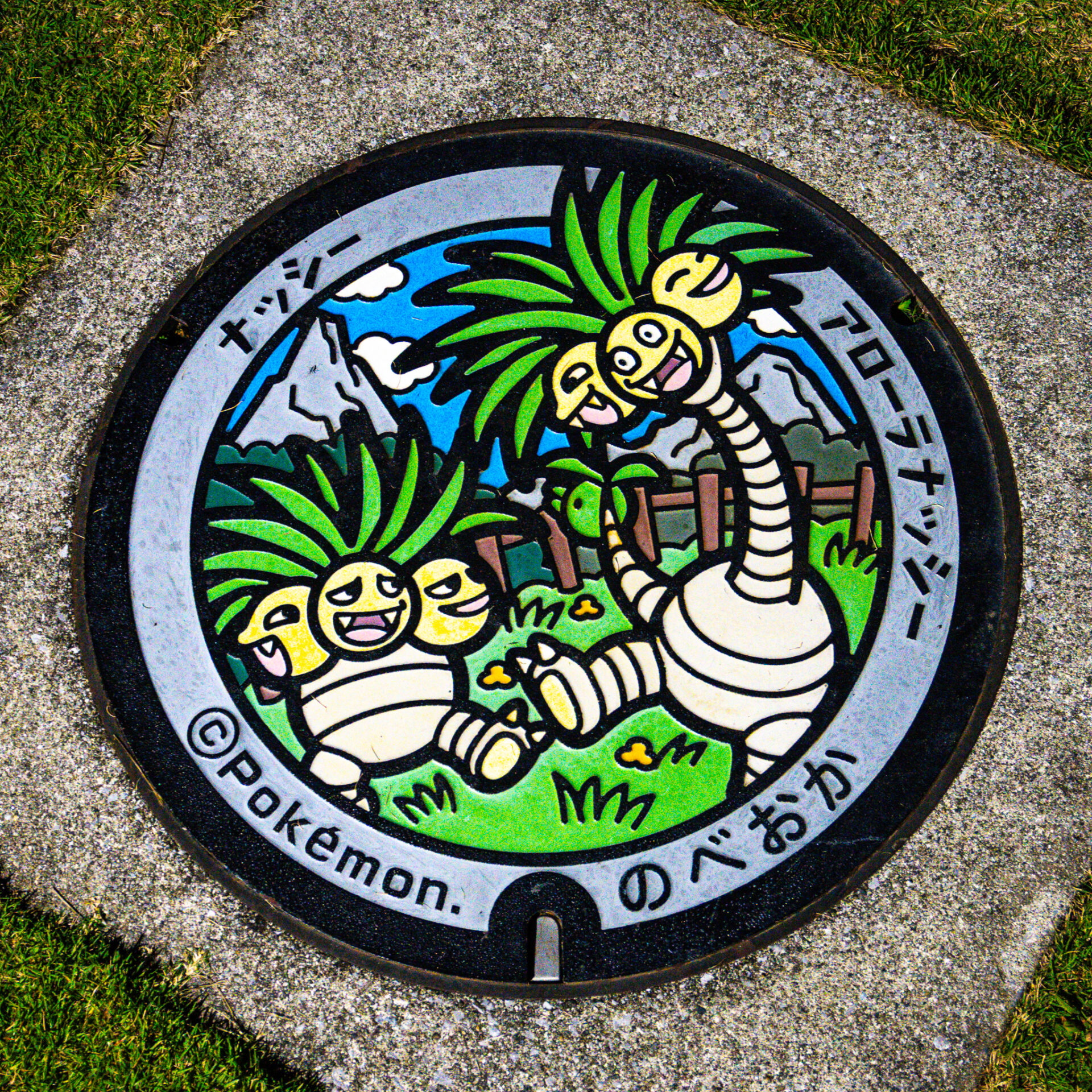 宮崎県延岡市のポケふた