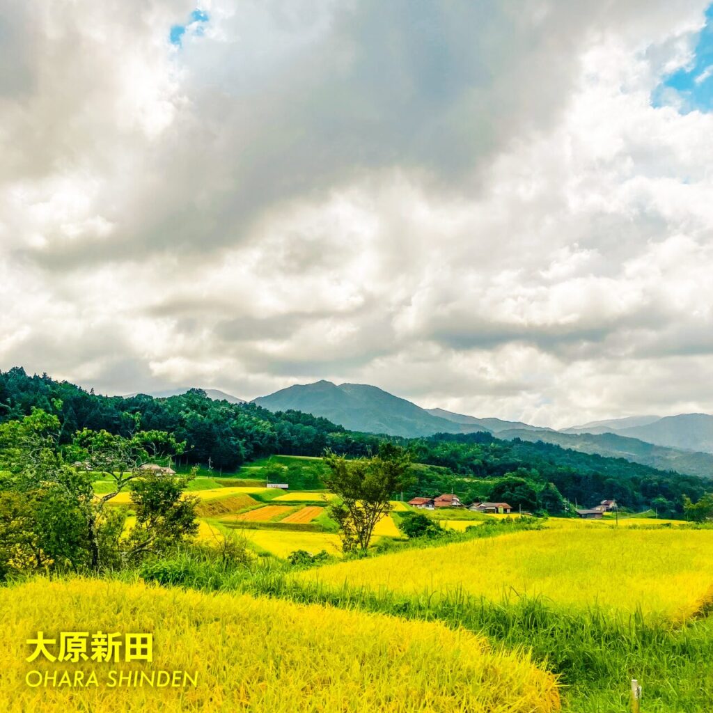 島根県奥出雲町にある棚田、大原新田