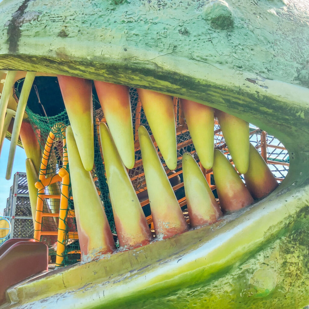 鹿児島市の錦江湾公園にあるカメレオン遊具