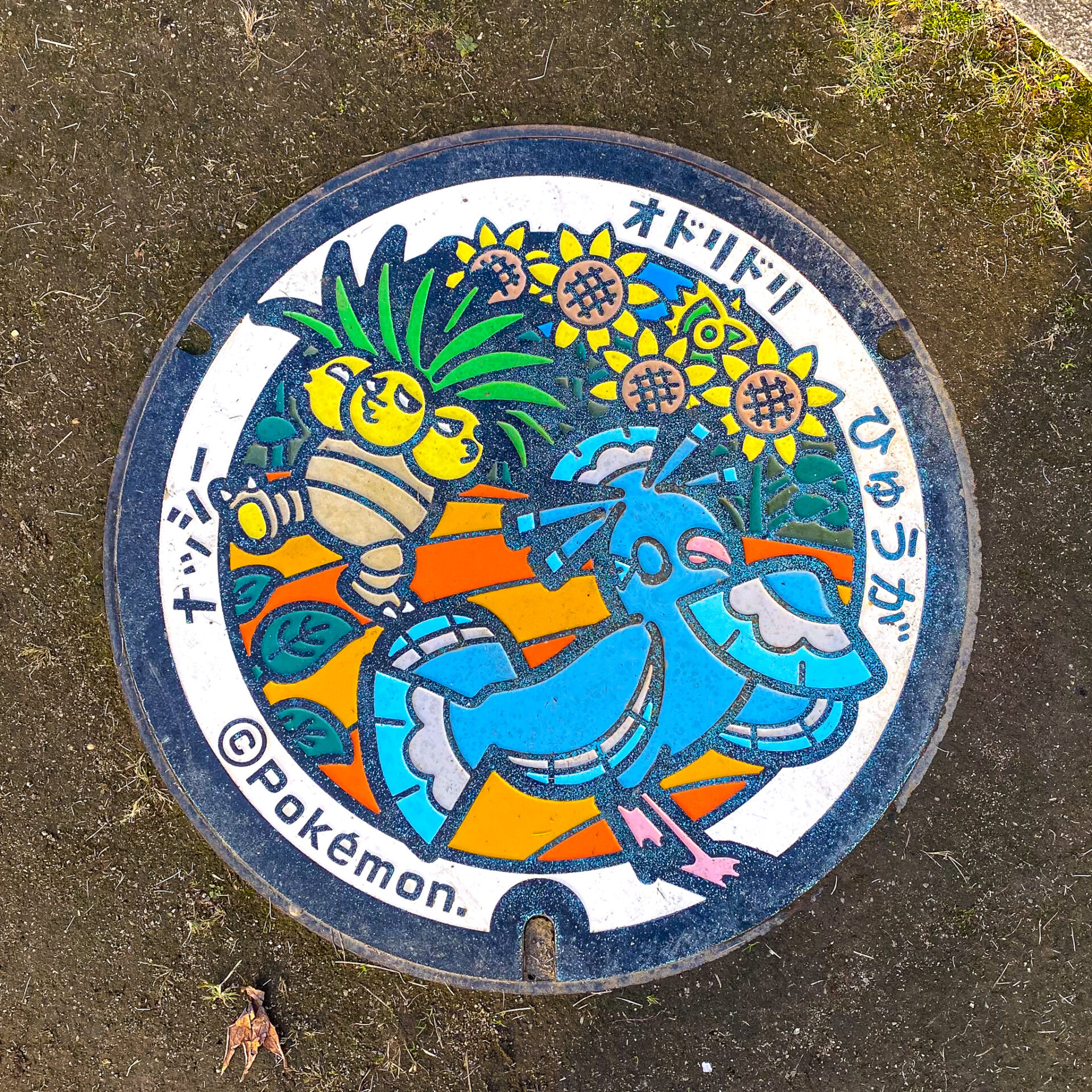 宮崎県日向市のポケふた