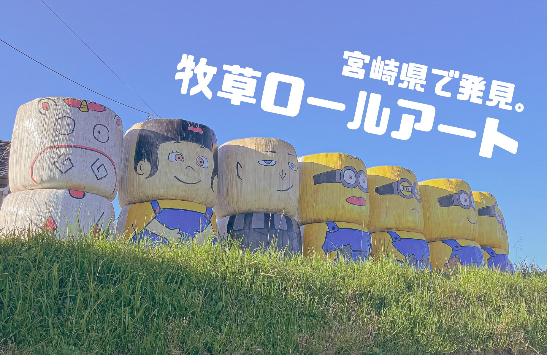 【B級スポット】牧草ロールアート【宮崎県】