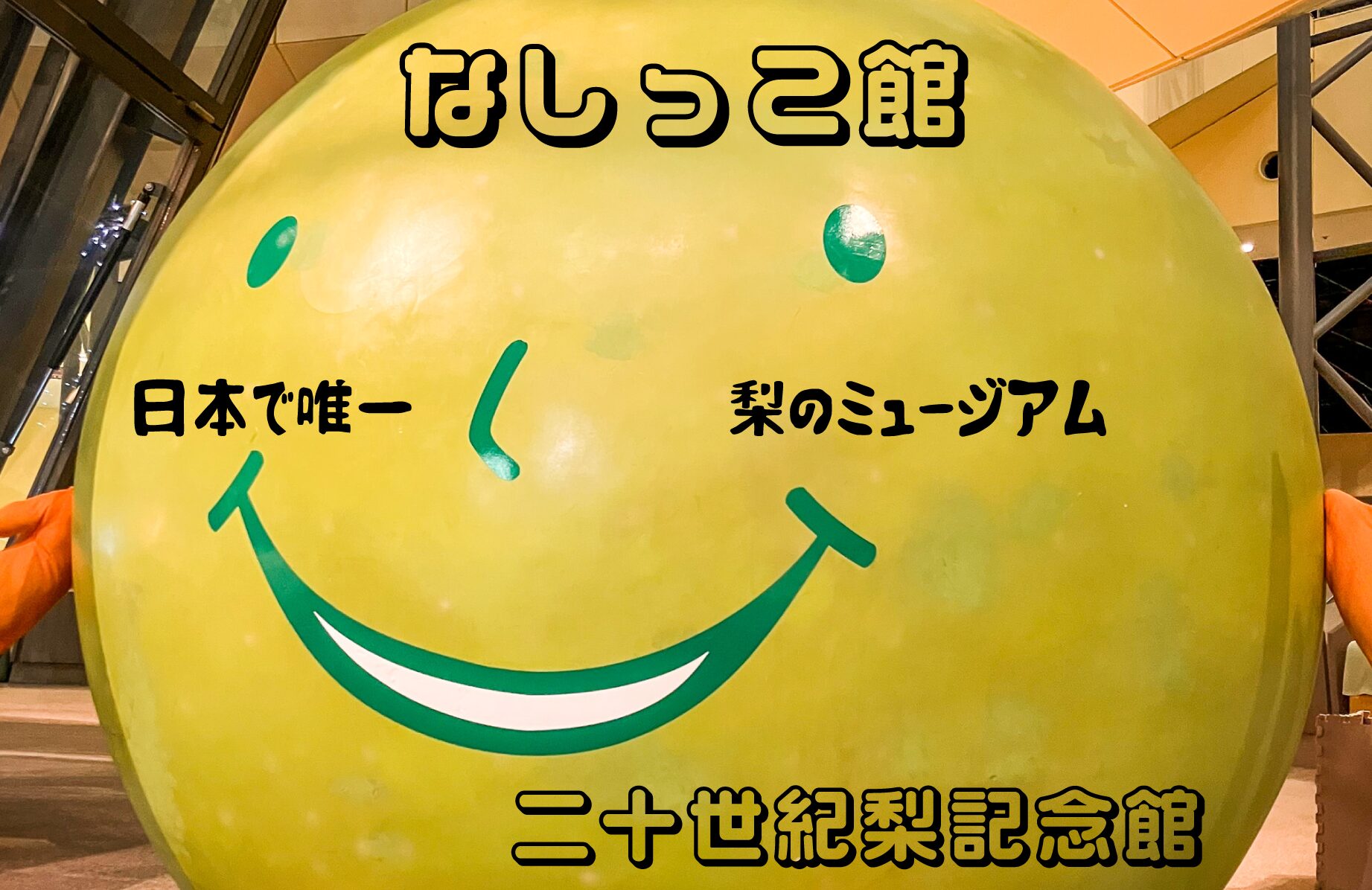 【日本で唯一】梨の博物館 なしっこ館【鳥取県】