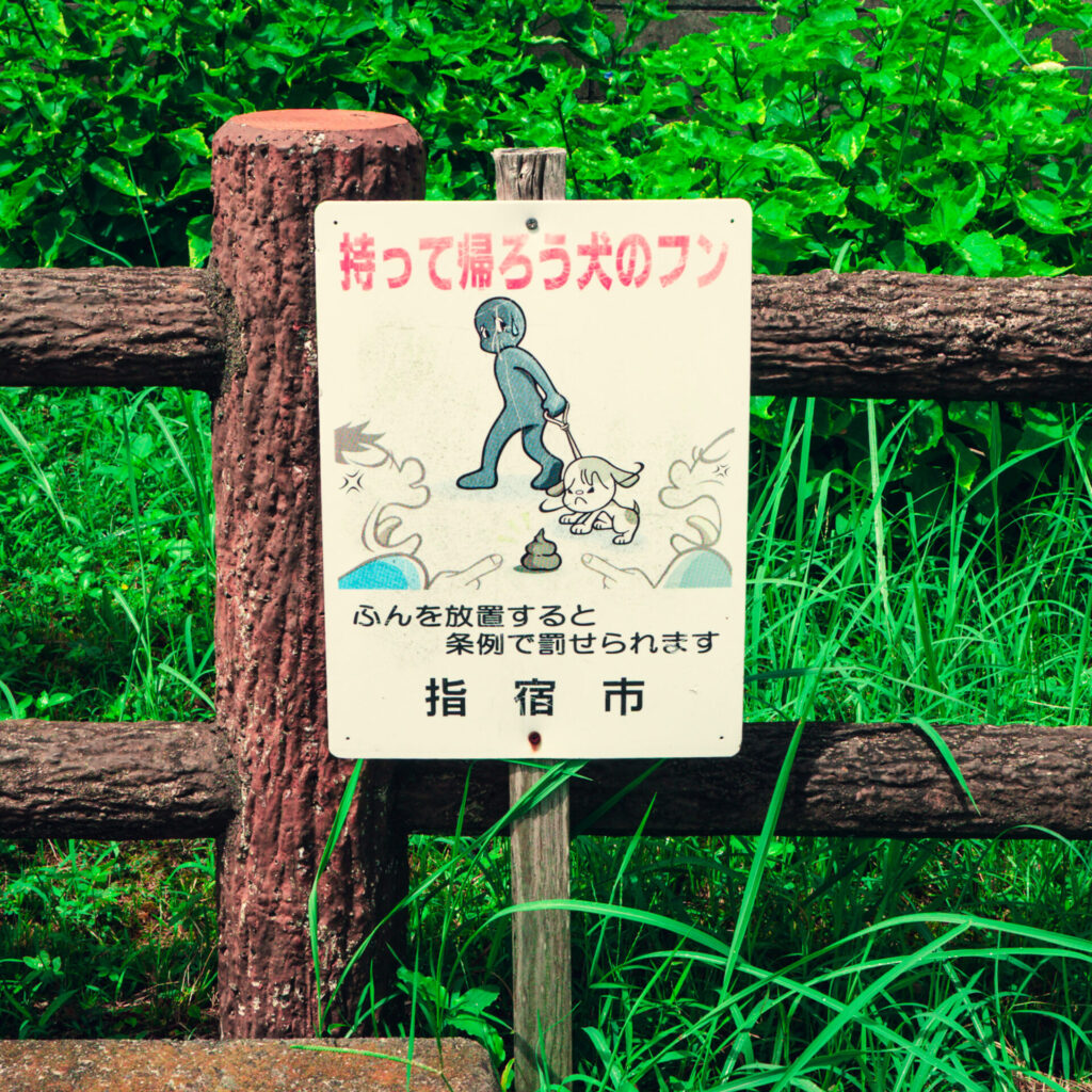 鹿児島県指宿市のふんばん