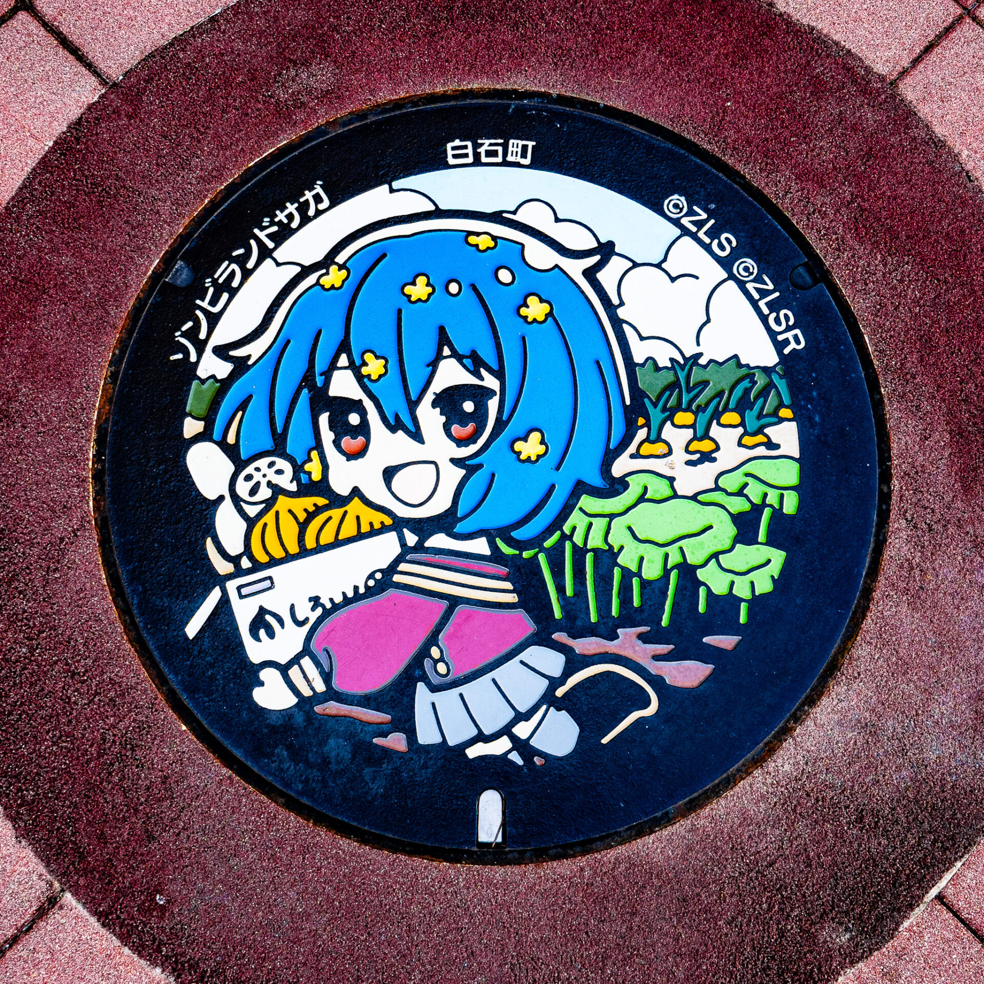 佐賀県白石町のマンホール