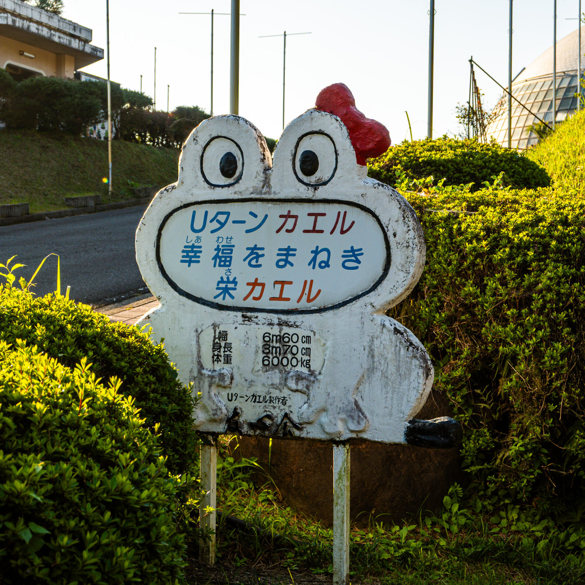 B級スポット】カエルの王国を発見! のじりこぴあのケロケロ共和国