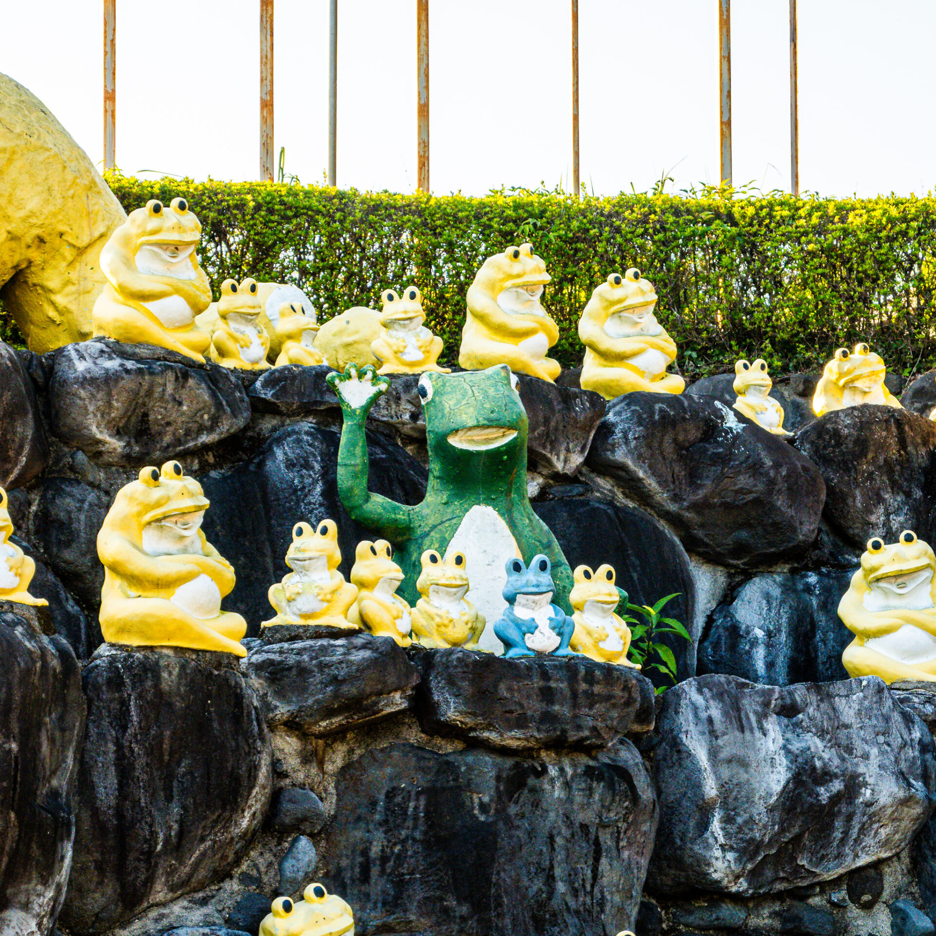 B級スポット】カエルの王国を発見! のじりこぴあのケロケロ共和国