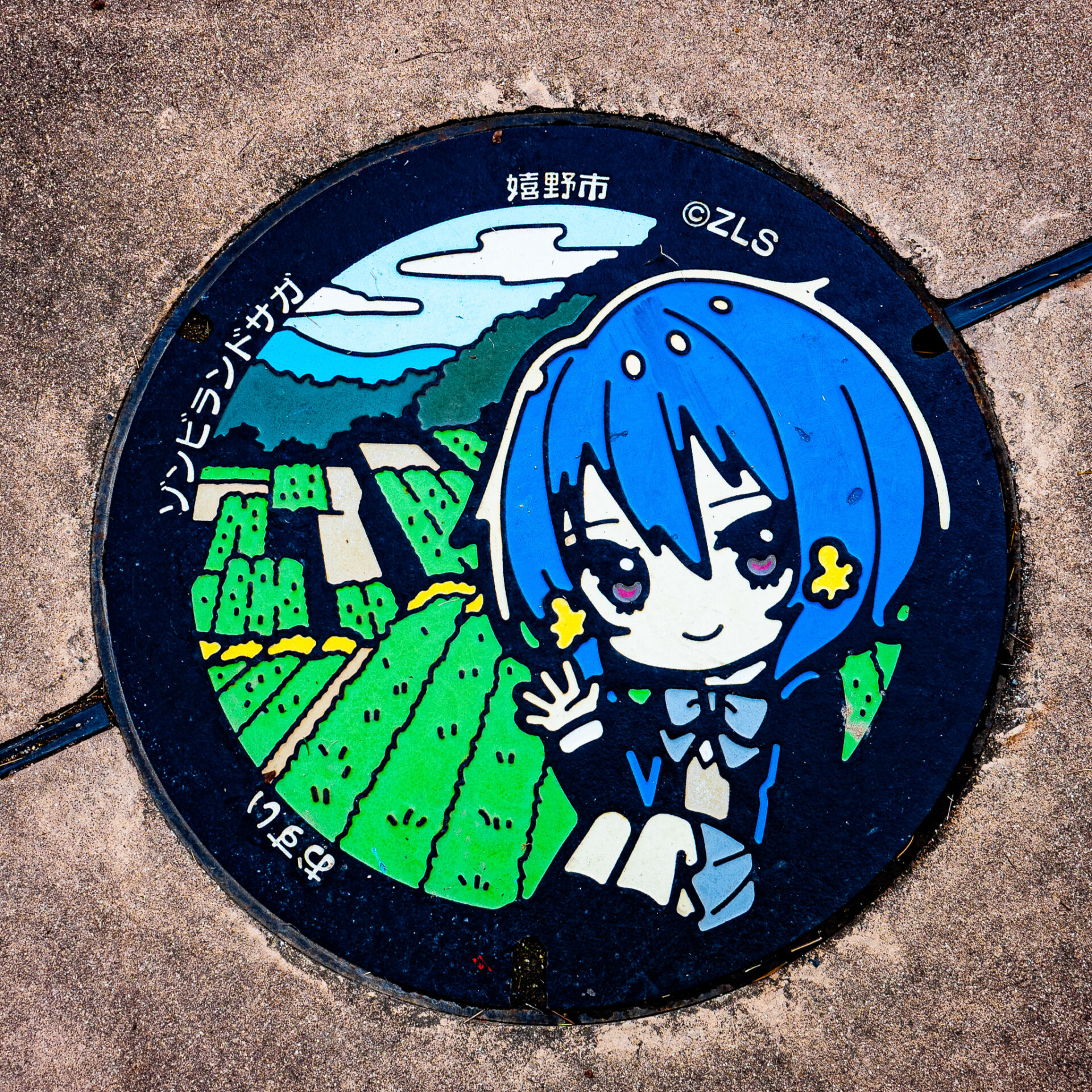 佐賀県嬉野市のマンホール