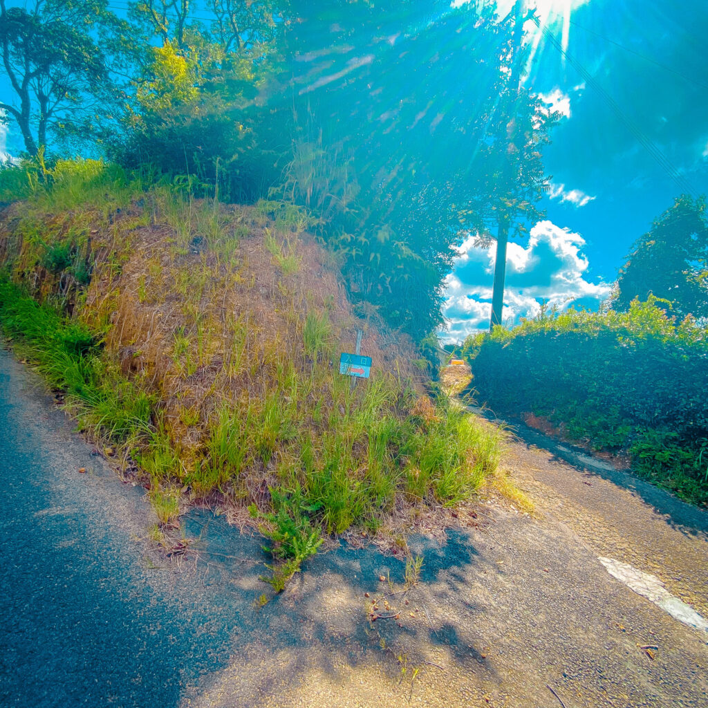 慈照院へ向かう道