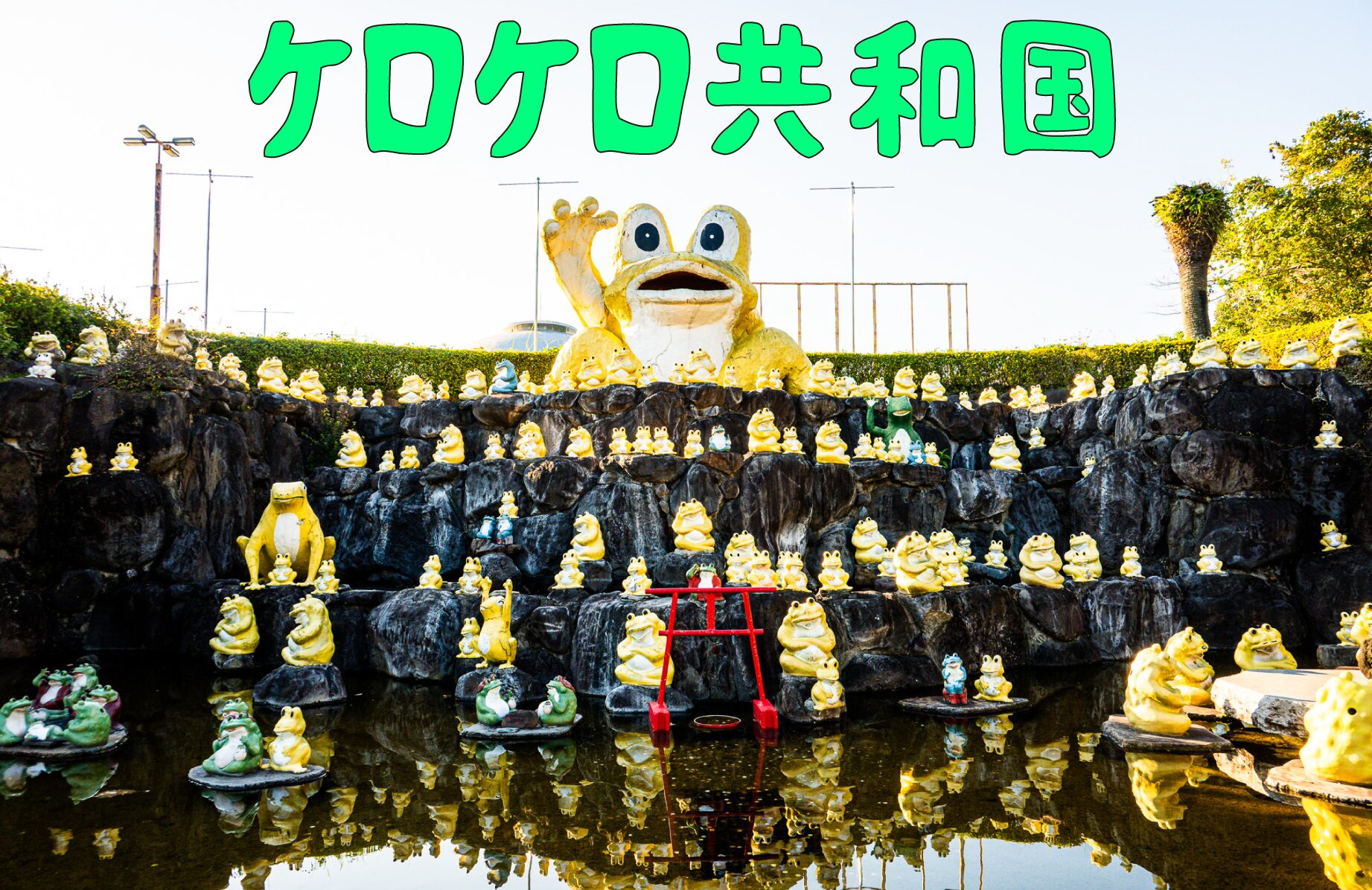 【B級スポット】カエルの王国を発見! のじりこぴあのケロケロ共和国【宮崎県】