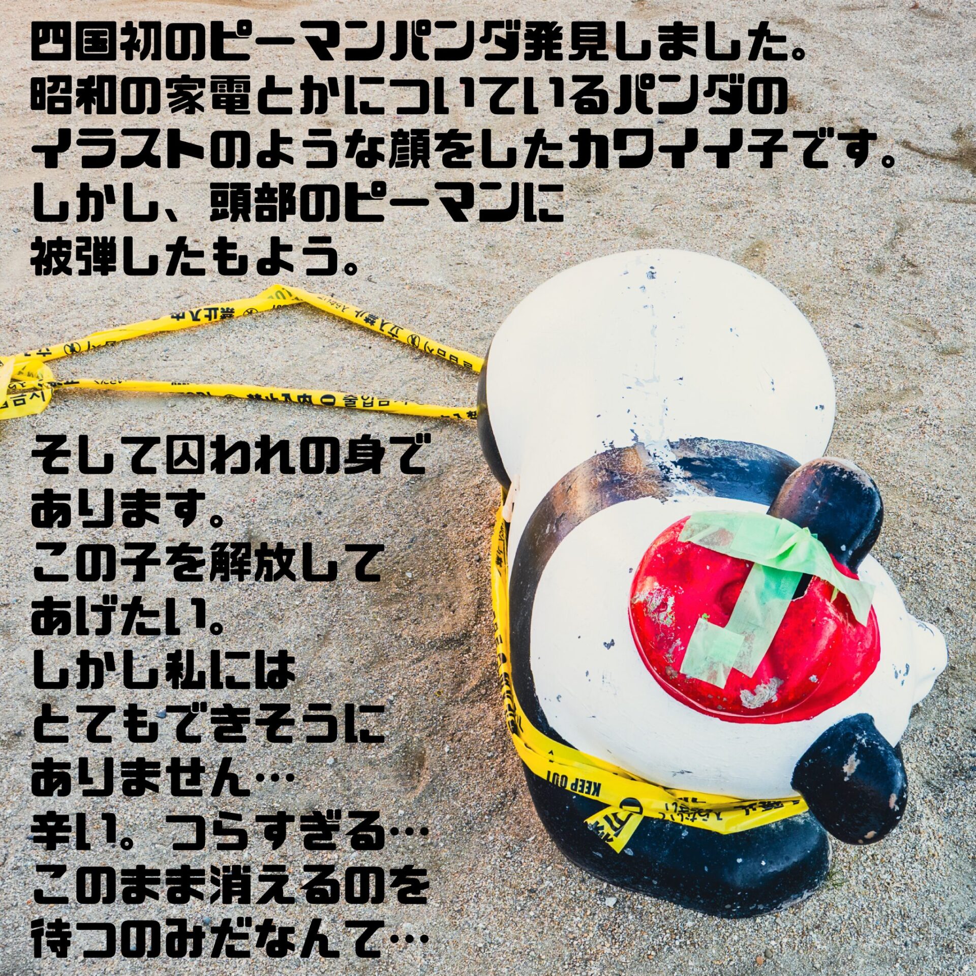 四国初のピーマンパンダ発見しました。昭和の家電とかについているパンダのイラストのような顔をしたカワイイ子です。しかし、頭部のピーマンに被弾したもよう。そして囚われの身であります。この子を解放してあげたい。しかし私にはとてもできそうにありません…辛い。つらすぎる…このまま消えるのを待つのみだなんて…