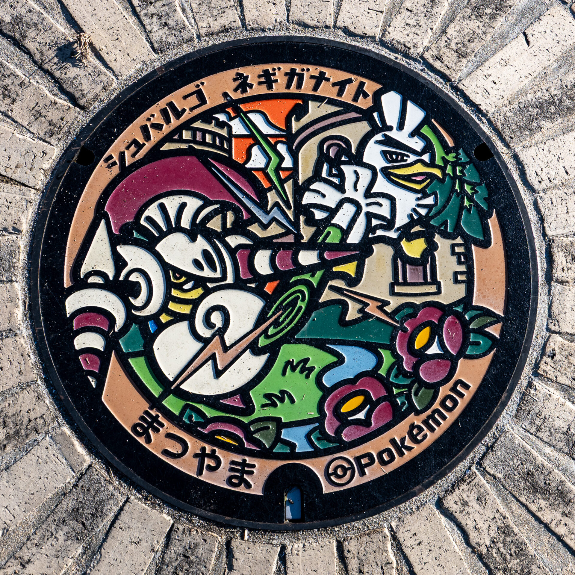 松山総合公園のポケふた