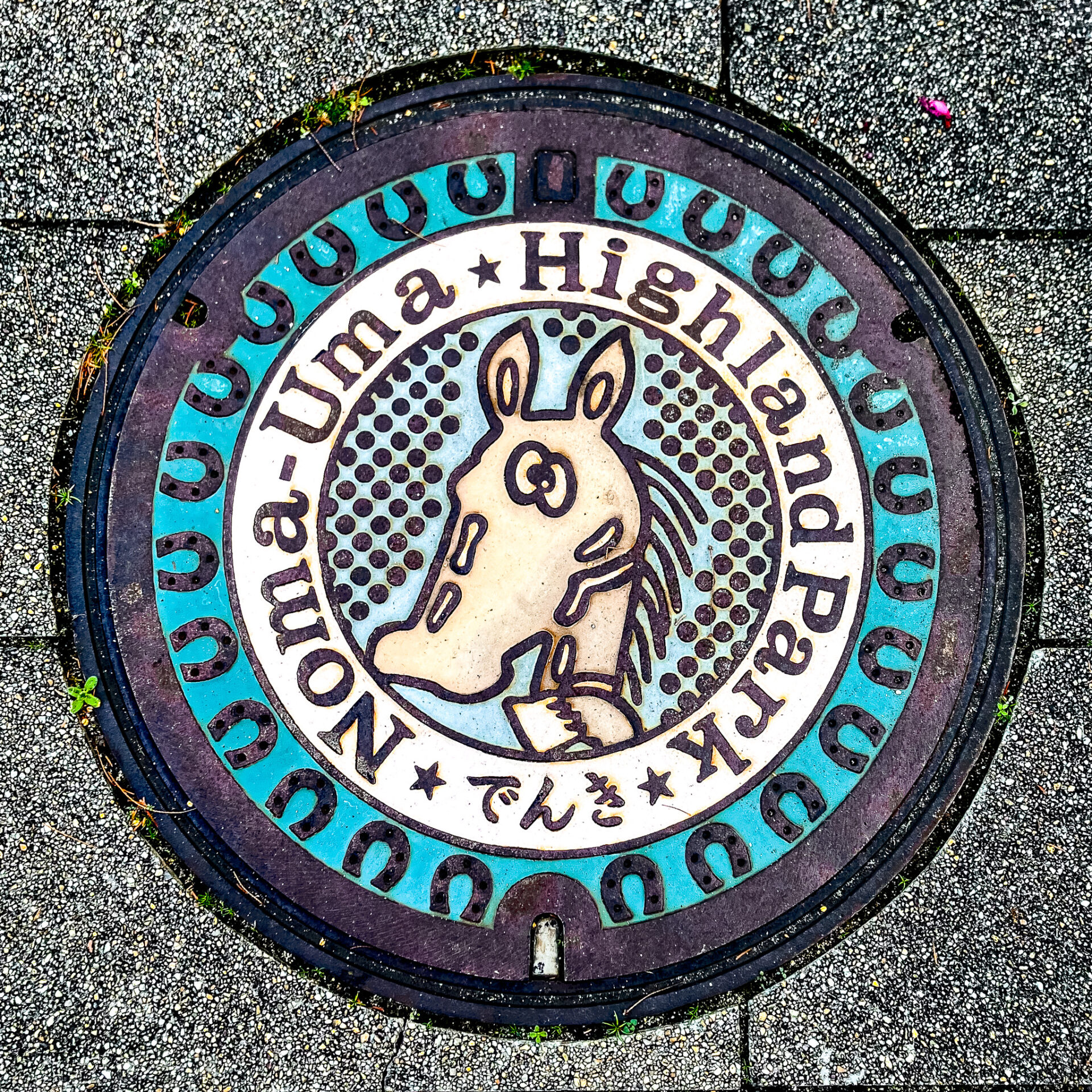 今治市にある野間馬ハイランドのマンホール