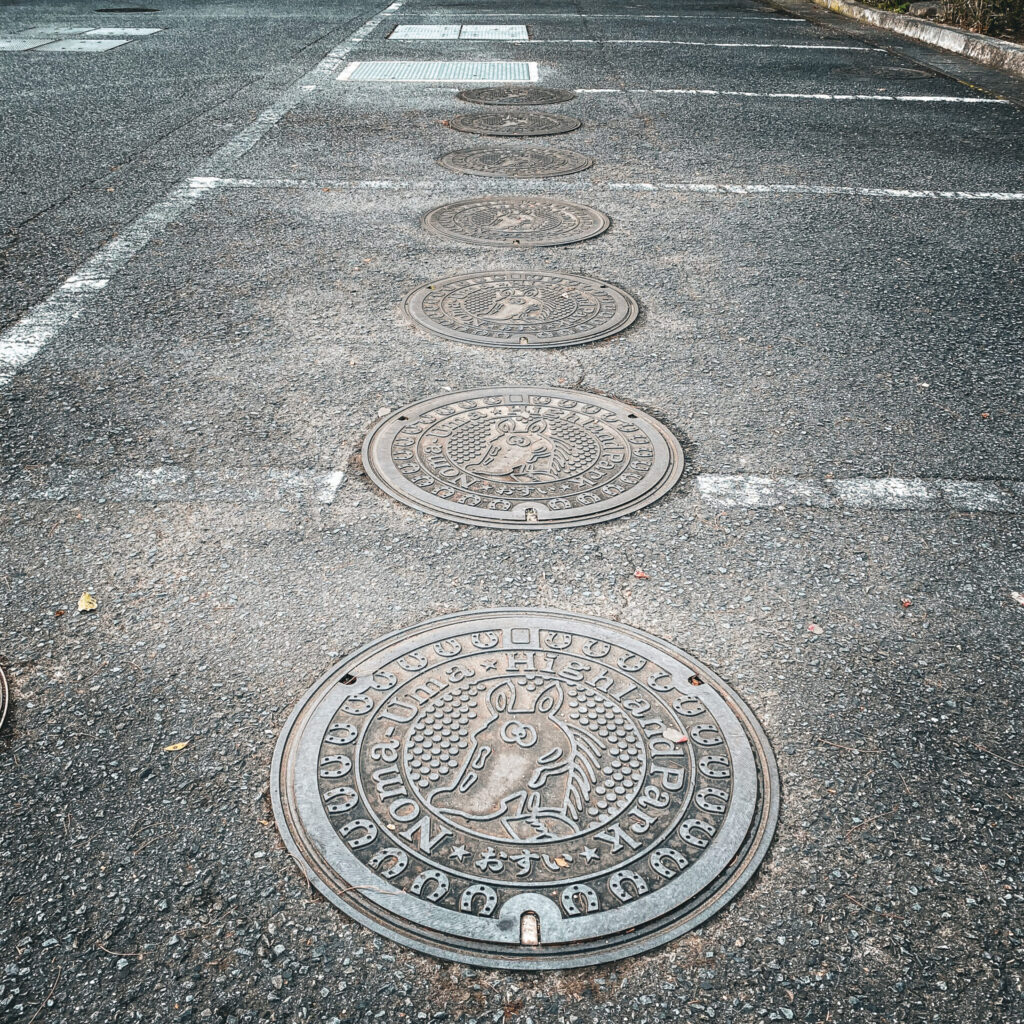 野間馬ハイランドのマンホール