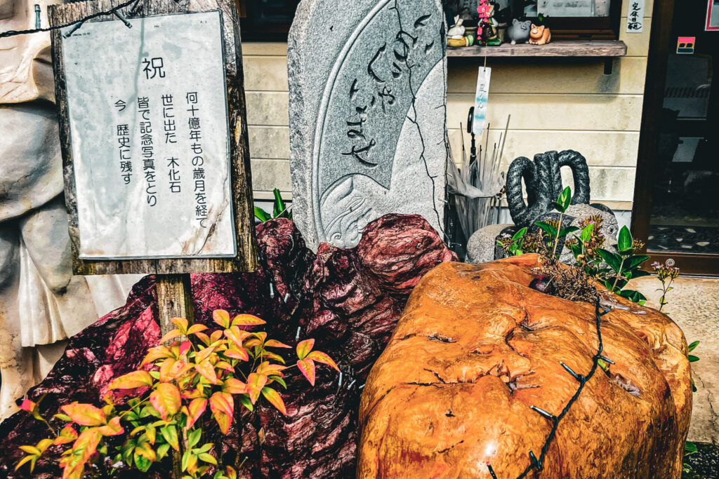 世界一温泉にある木化石