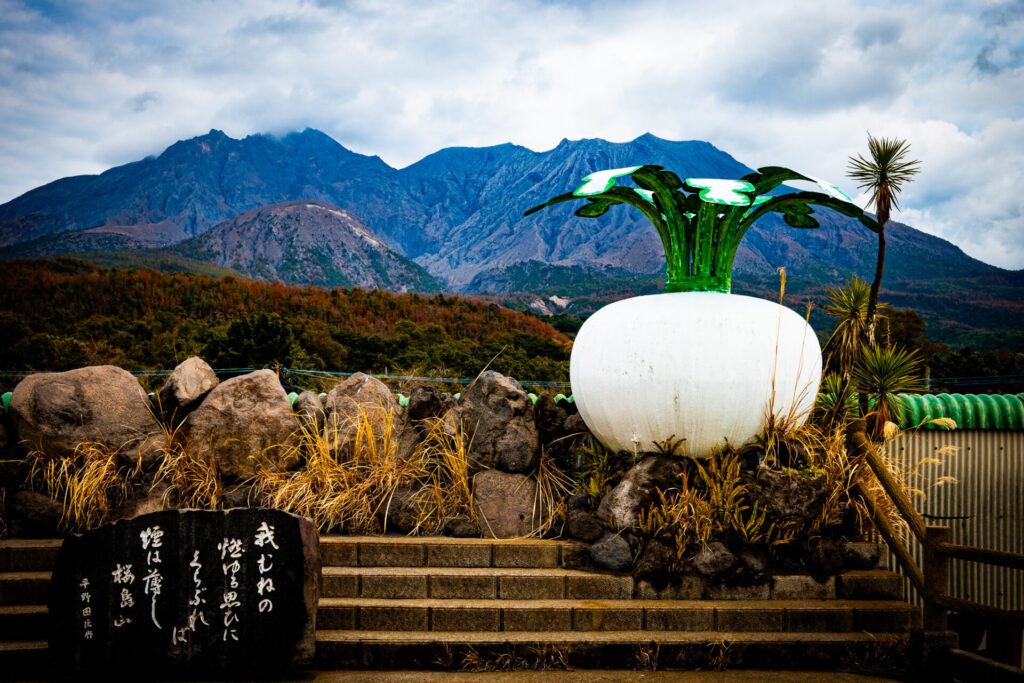 桜島物産館からの桜島
