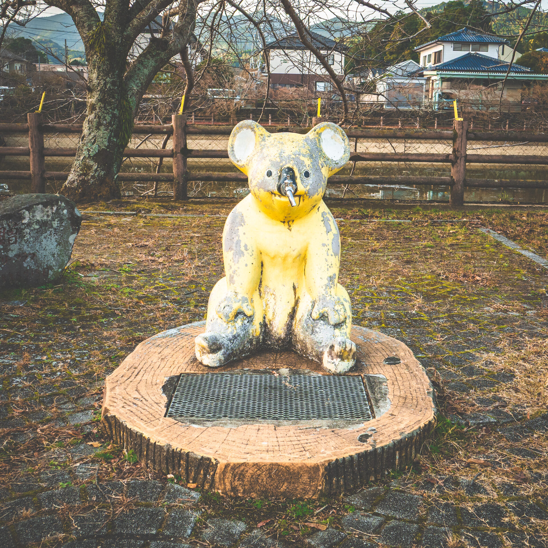 鷹ノ巣公園のコアラの水飲み場