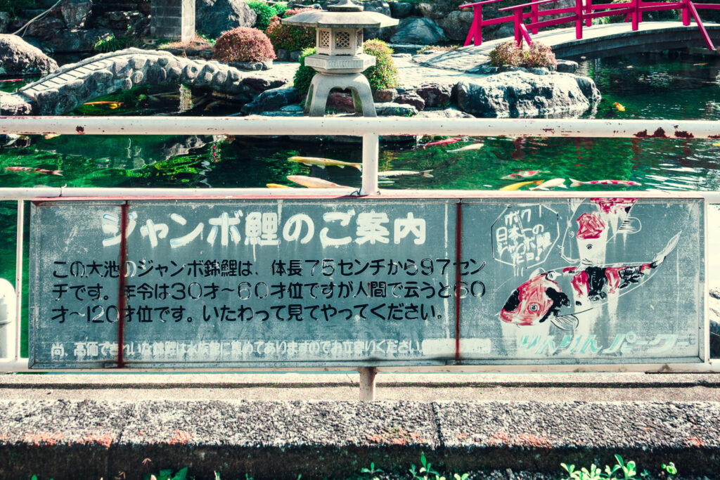 りんりんパークーのジャンボ鯉の看板