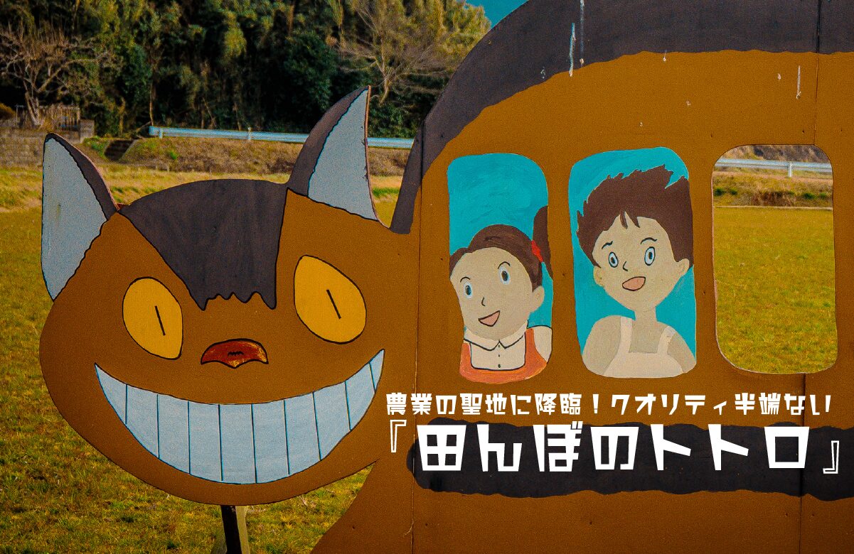 【珍スポット】農業の聖地に降臨！クオリティ半端ない『田んぼのトトロ』【宮崎県のジブリスポット】