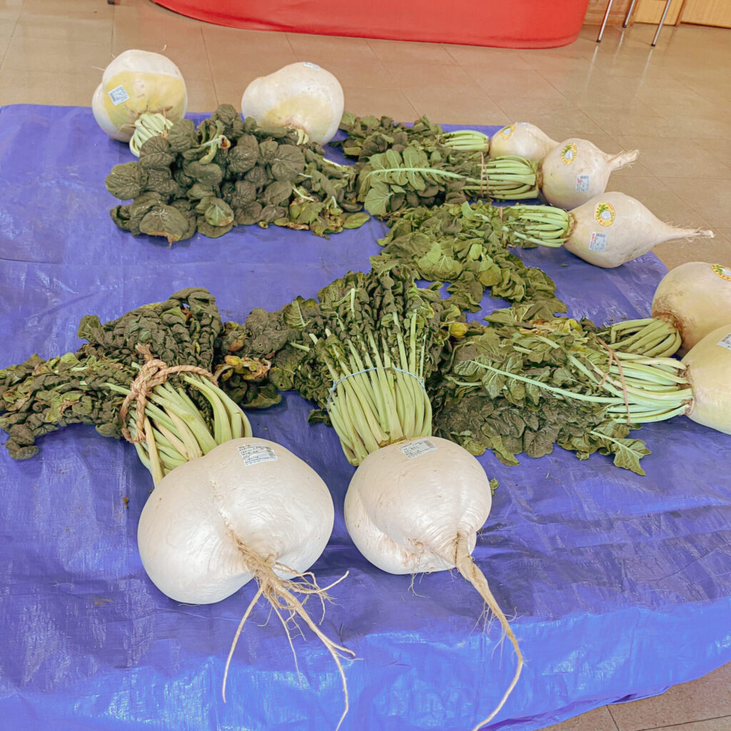 道の駅桜島火の島めぐみ館の桜島大根