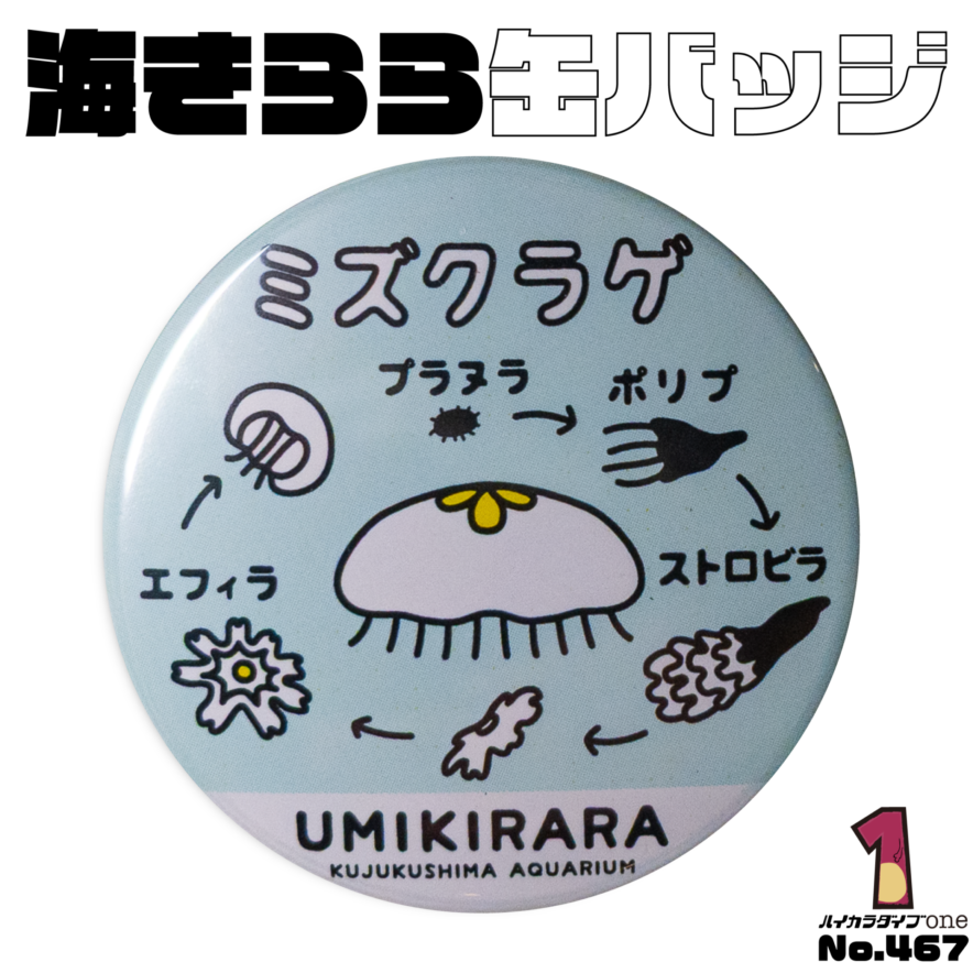 長崎県佐世保市海きらら缶バッジ